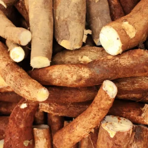 Manioc